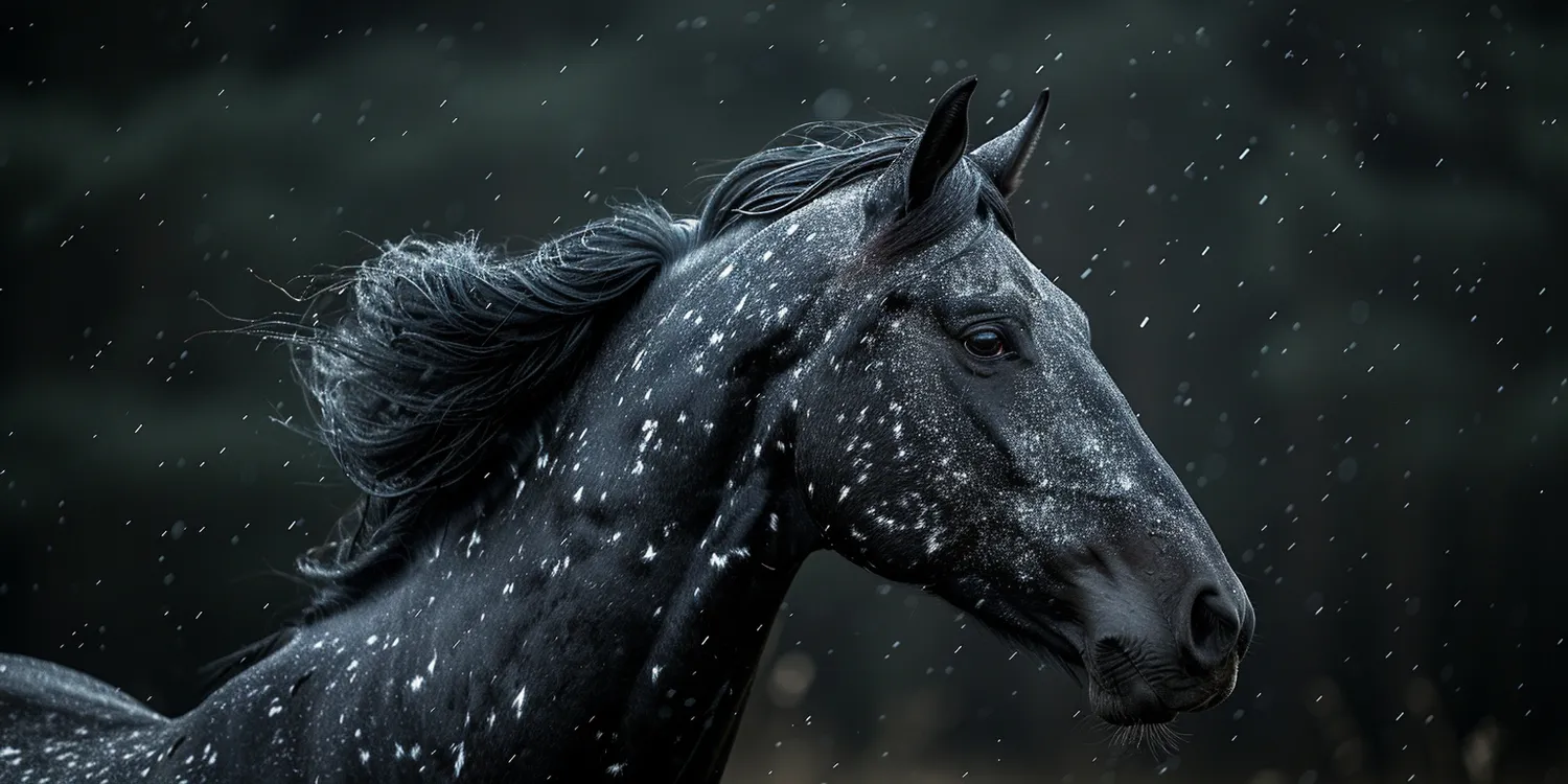 Kremacja psa jak wygląda?