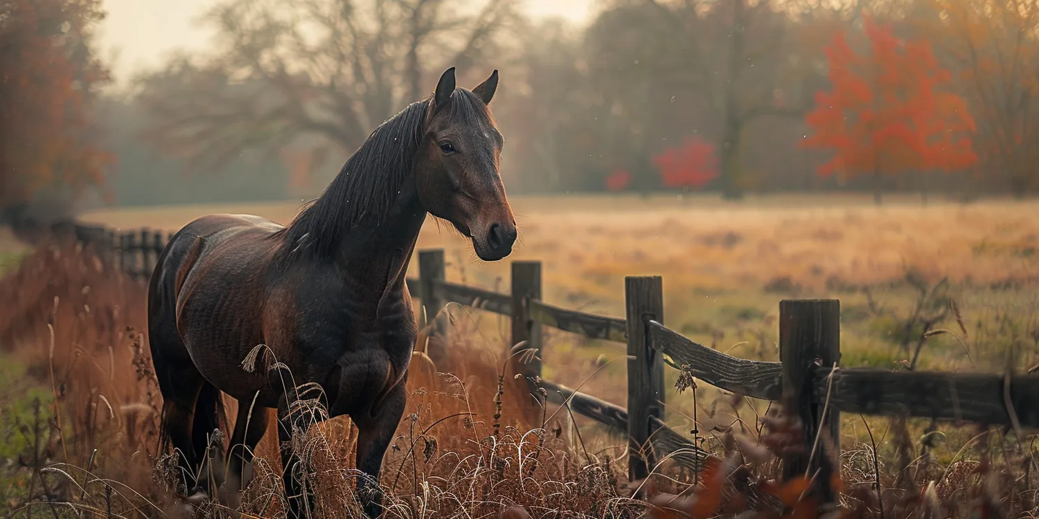 Krematorium dla zwierząt - czy warto zainwestować w jego budowę?